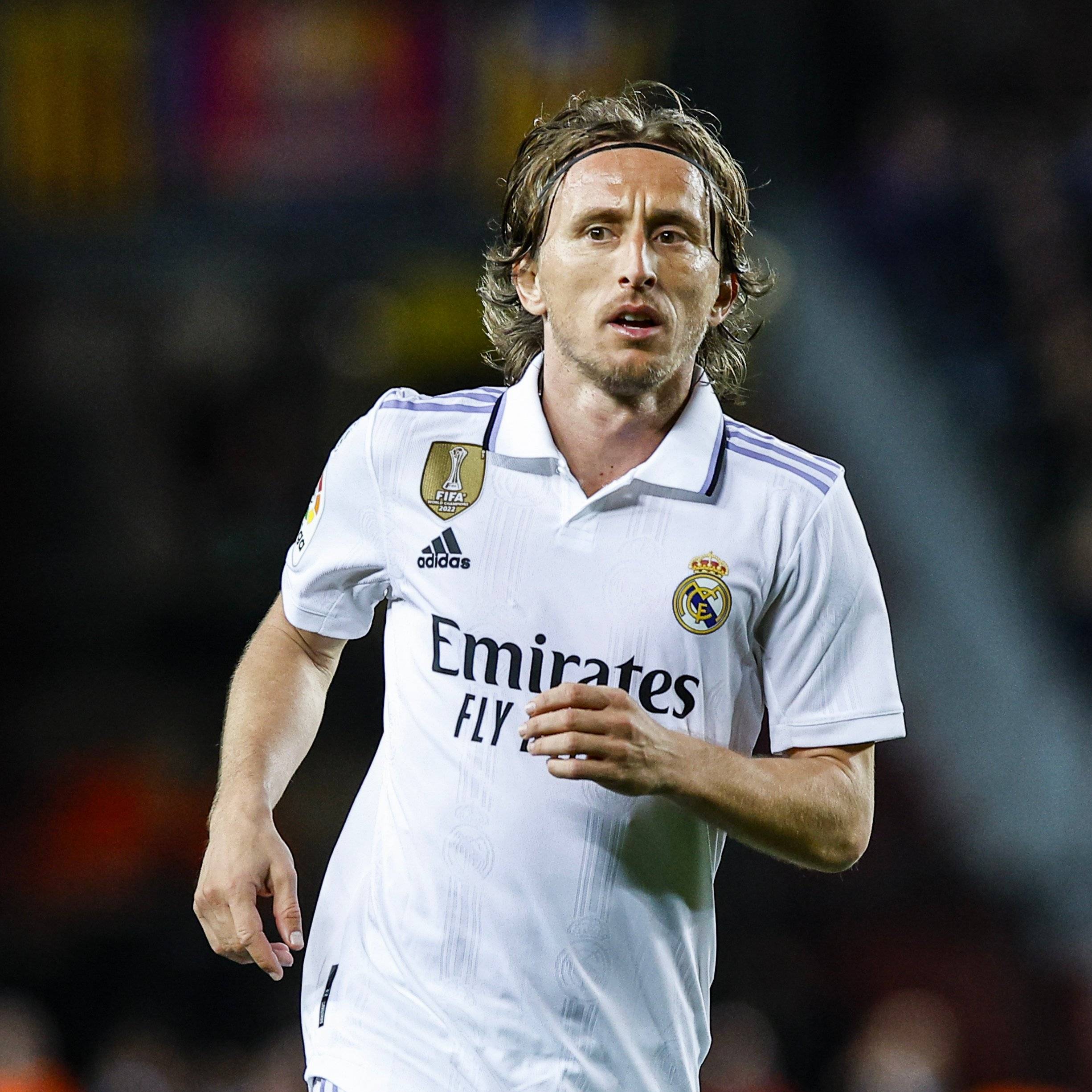 洋基主帅展望新赛季